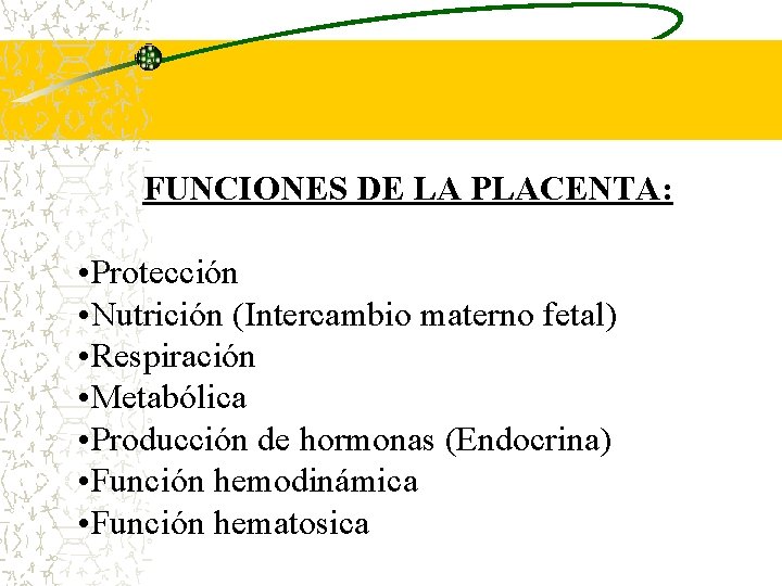 FUNCIONES DE LA PLACENTA: • Protección • Nutrición (Intercambio materno fetal) • Respiración •