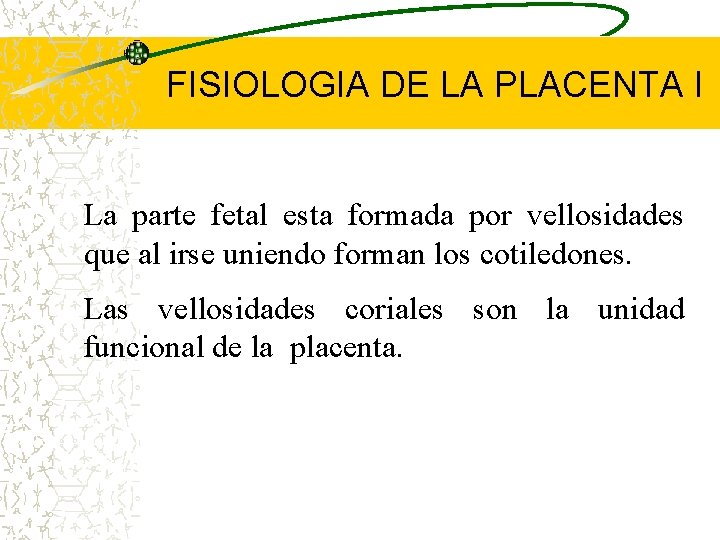 FISIOLOGIA DE LA PLACENTA I La parte fetal esta formada por vellosidades que al