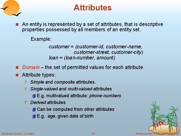 Attributes n An entity is represented by a set of attributes, that is descriptive