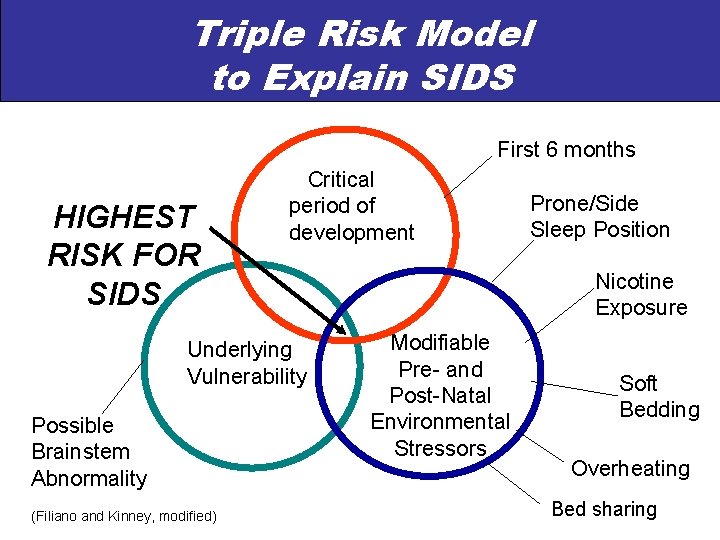 Triple Risk Model to Explain SIDS First 6 months HIGHEST RISK FOR SIDS Critical