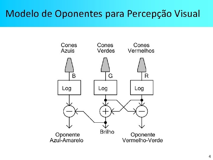 Modelo de Oponentes para Percepção Visual 4 