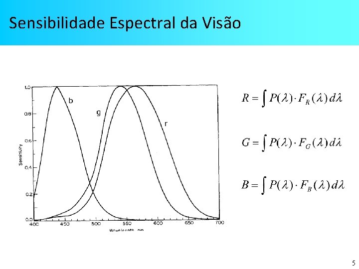 Sensibilidade Espectral da Visão 5 