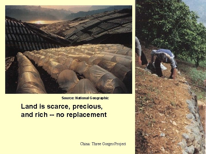 Source: National Geographic Land is scarce, precious, and rich -- no replacement China: Three