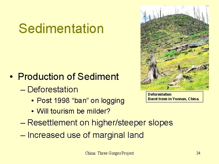 Sedimentation • Production of Sediment – Deforestation • Post 1998 “ban” on logging •