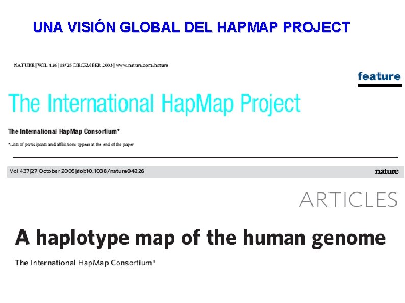 UNA VISIÓN GLOBAL DEL HAPMAP PROJECT 