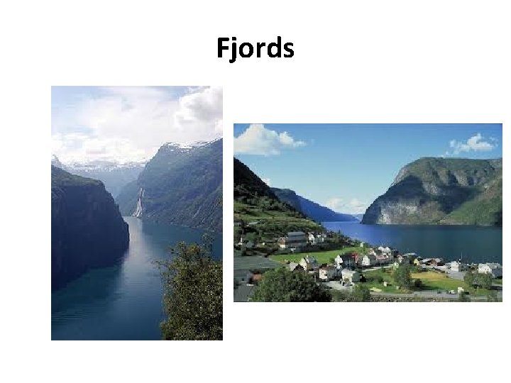Fjords 
