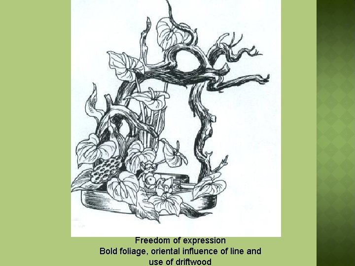 Freedom of expression Bold foliage, oriental influence of line and use of driftwood 