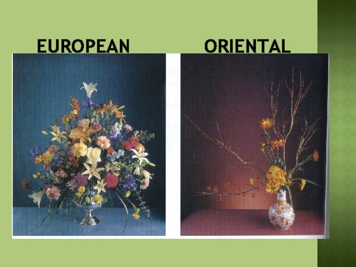 EUROPEAN ORIENTAL 