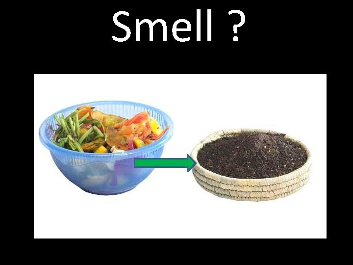 Smell ? 