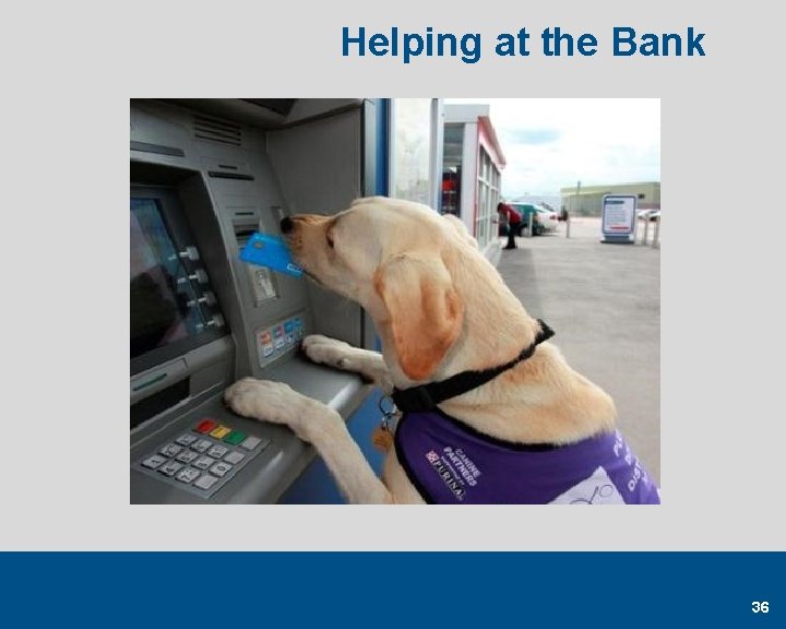 Helping at the Bank 36 