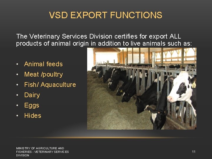 VSD EXPORT FUNCTIONS The Veterinary Services Division certifies for export ALL products of animal