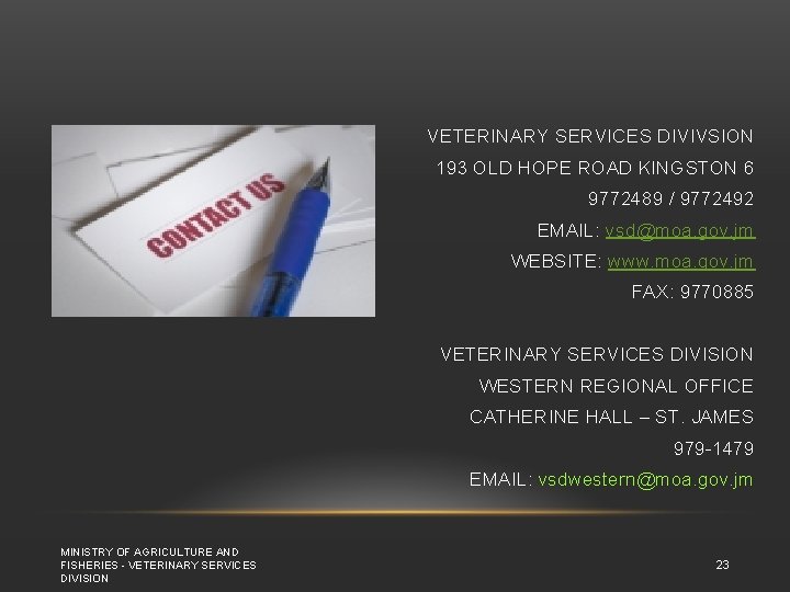 VETERINARY SERVICES DIVIVSION 193 OLD HOPE ROAD KINGSTON 6 9772489 / 9772492 EMAIL: vsd@moa.