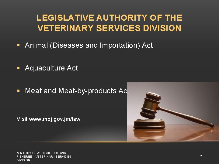 LEGISLATIVE AUTHORITY OF THE VETERINARY SERVICES DIVISION § Animal (Diseases and Importation) Act §