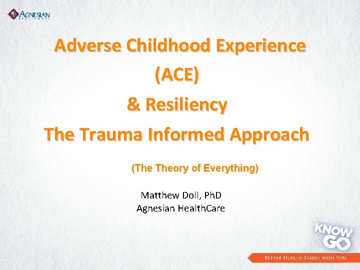 Adverse Childhood Experience (ACE) & Resiliency The Trauma Informed Approach (The Theory of Everything)