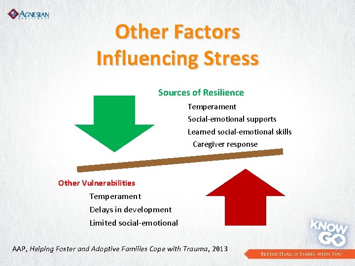 Other Factors Influencing Stress Sources of Resilience Temperament Social-emotional supports Learned social-emotional skills Caregiver