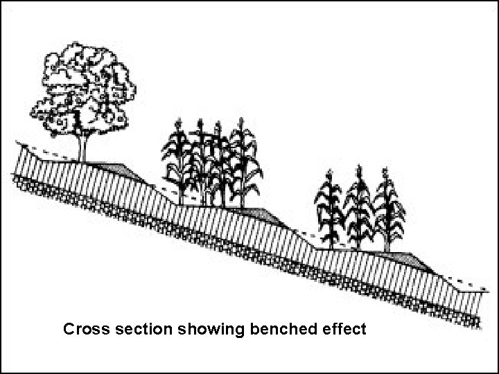 Cross section showing benched effect 