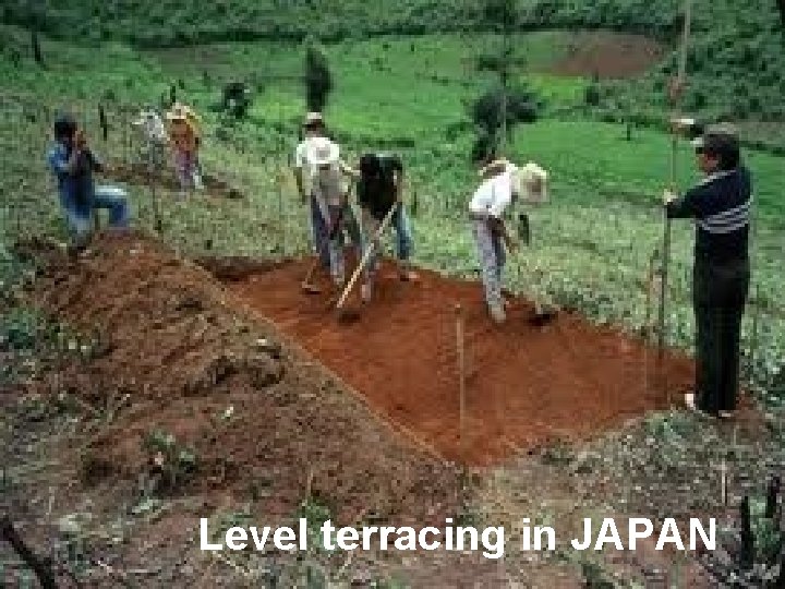 Level terracing in JAPAN 