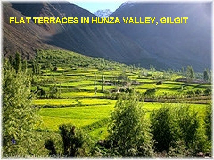 FLAT TERRACES IN HUNZA VALLEY, GILGIT 