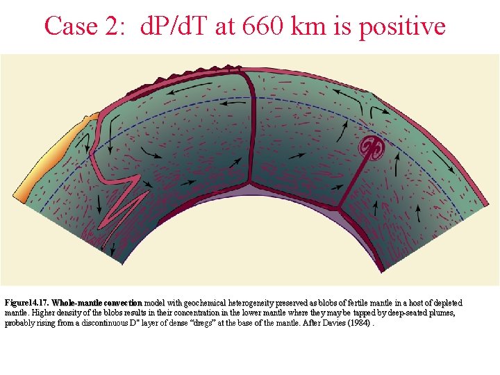 Case 2: d. P/d. T at 660 km is positive Figure 14. 17. Whole-mantle