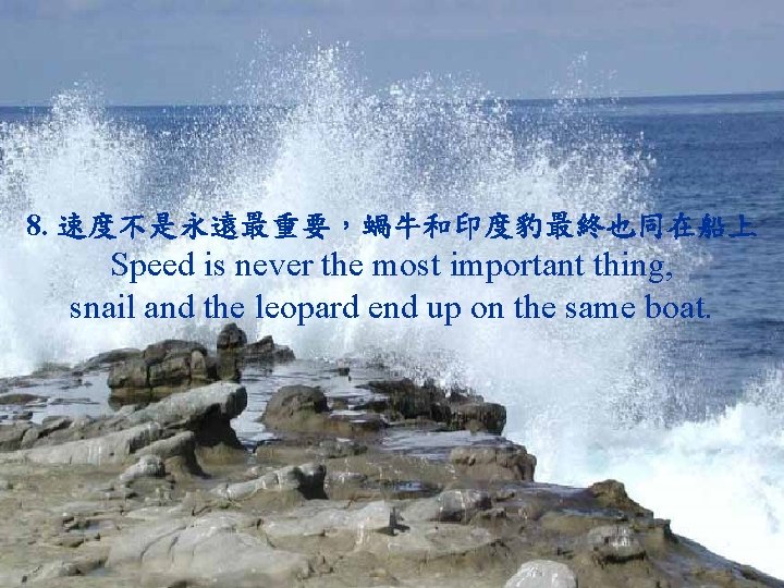 8. 速度不是永遠最重要，蝸牛和印度豹最終也同在船上 Speed is never the most important thing, snail and the leopard end