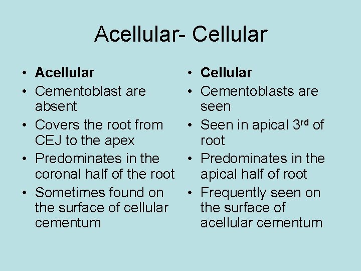 Acellular- Cellular • Acellular • Cementoblast are absent • Covers the root from CEJ