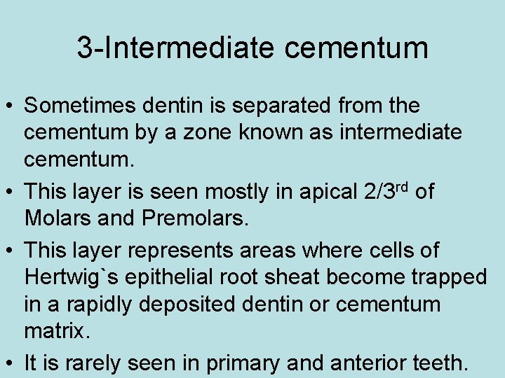 3 -Intermediate cementum • Sometimes dentin is separated from the cementum by a zone