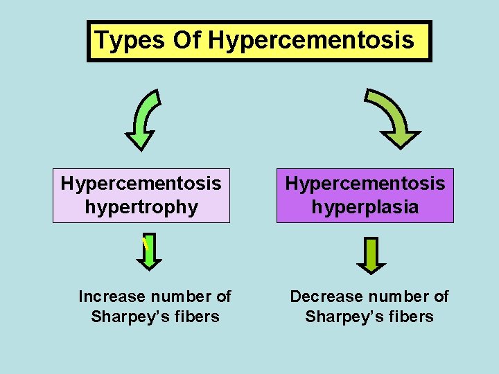 Types Of Hypercementosis hypertrophy Increase number of Sharpey’s fibers Hypercementosis hyperplasia Decrease number of