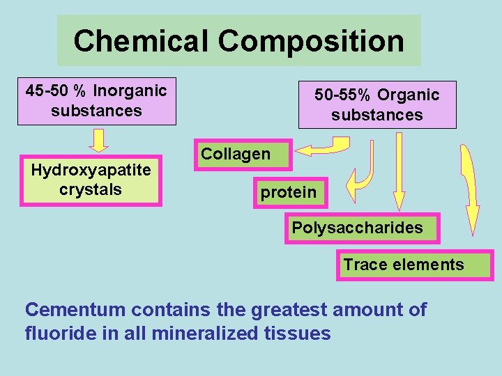 Chemical Composition 45 -50 % Inorganic substances Hydroxyapatite crystals 50 -55% Organic substances Collagen