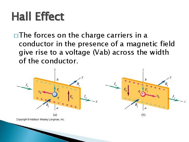 Hall Effect � The forces on the charge carriers in a conductor in the Hall Effect � The forces on the charge carriers in a conductor in the