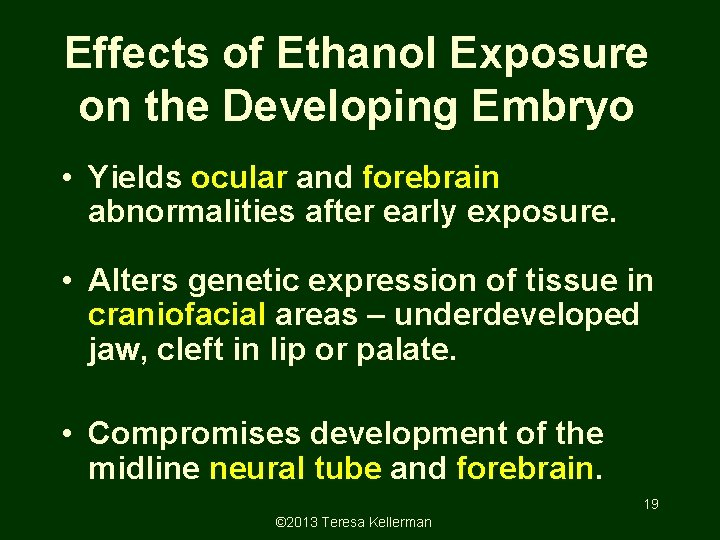 Effects of Ethanol Exposure on the Developing Embryo • Yields ocular and forebrain abnormalities