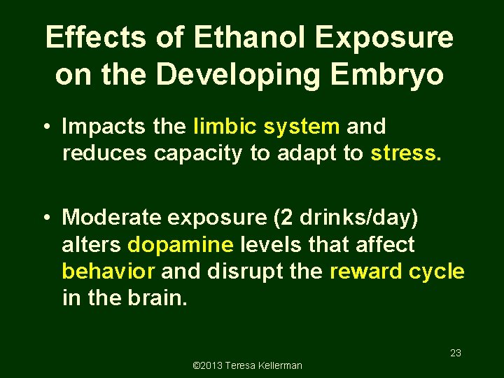 Effects of Ethanol Exposure on the Developing Embryo • Impacts the limbic system and