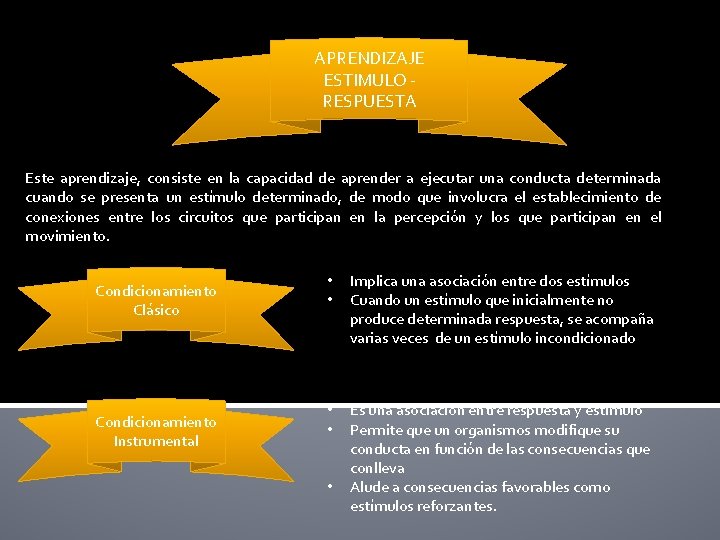 APRENDIZAJE ESTIMULO RESPUESTA Este aprendizaje, consiste en la capacidad de aprender a ejecutar una