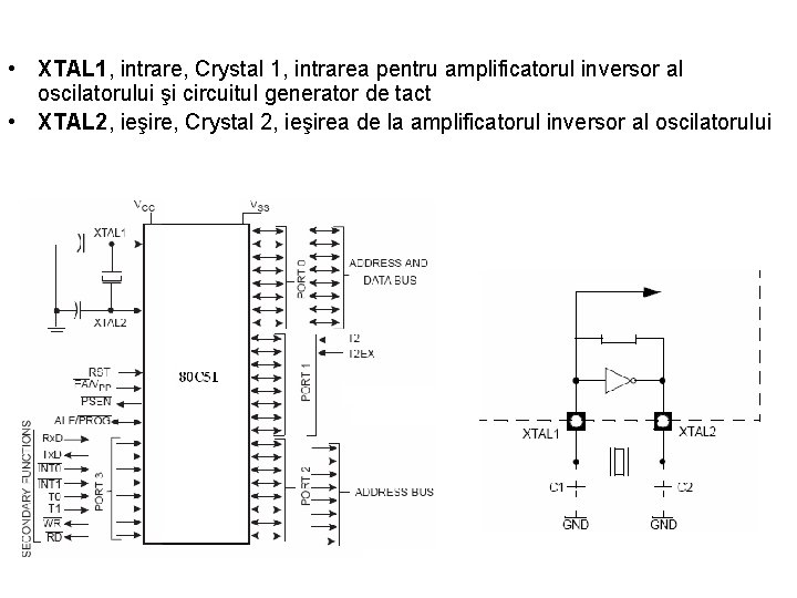  • XTAL 1, intrare, Crystal 1, intrarea pentru amplificatorul inversor al oscilatorului şi