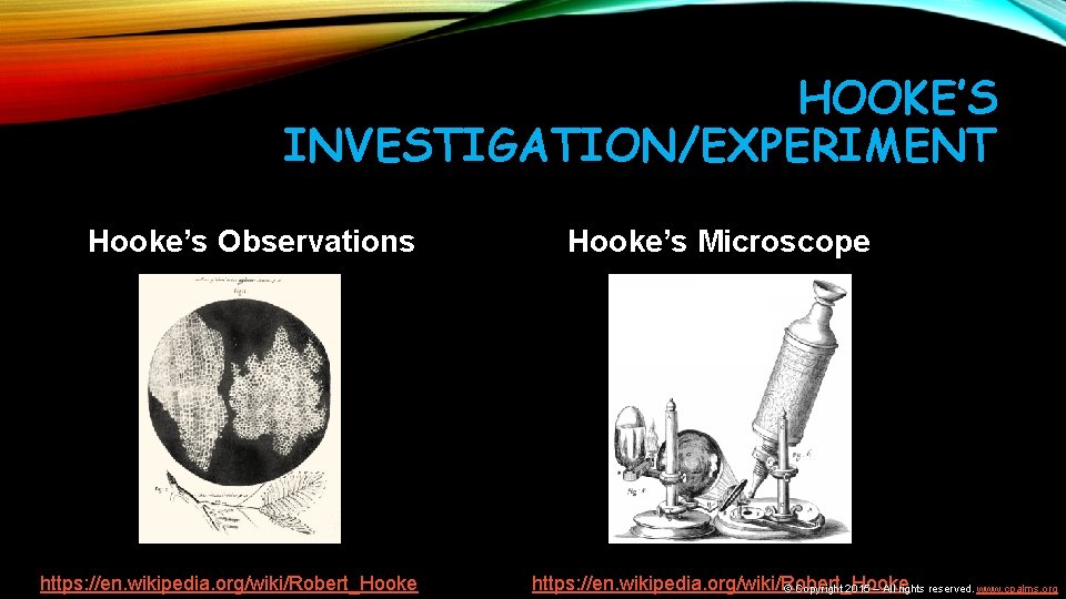 HOOKE’S INVESTIGATION/EXPERIMENT Hooke’s Observations https: //en. wikipedia. org/wiki/Robert_Hooke’s Microscope https: //en. wikipedia. org/wiki/Robert_Hooke ©