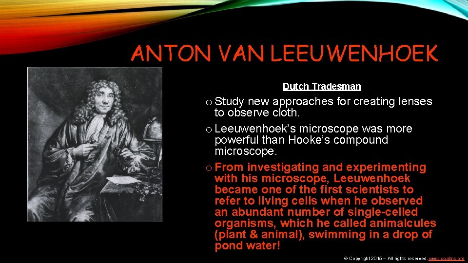 ANTON VAN LEEUWENHOEK Dutch Tradesman o Study new approaches for creating lenses to observe