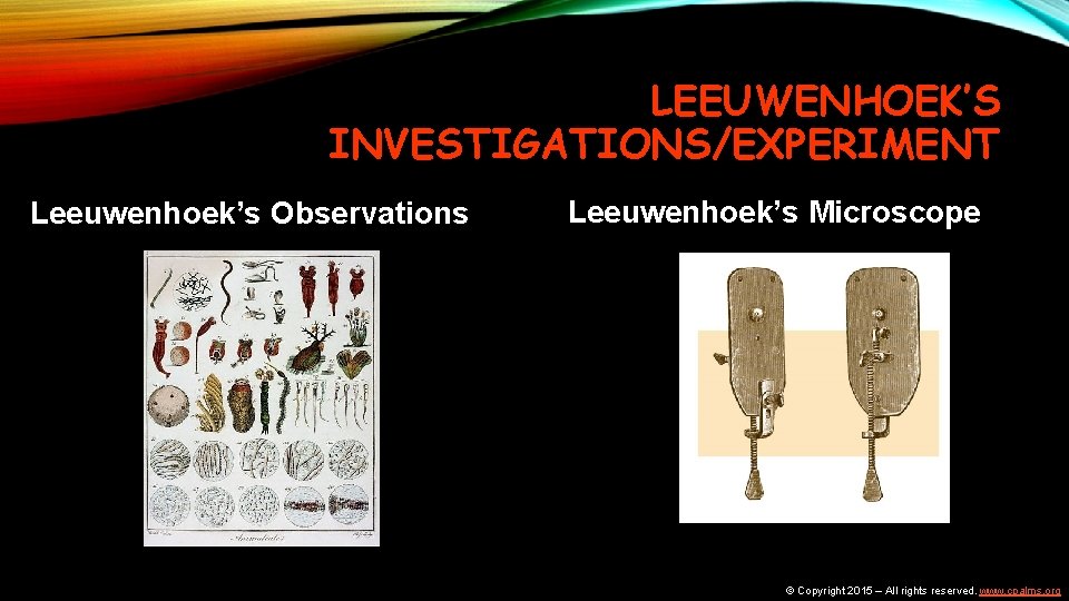LEEUWENHOEK’S INVESTIGATIONS/EXPERIMENT Leeuwenhoek’s Observations Leeuwenhoek’s Microscope © Copyright 2015 – All rights reserved. www.