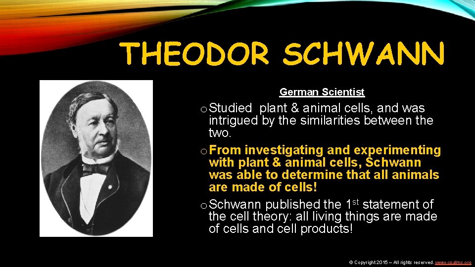 THEODOR SCHWANN German Scientist o Studied plant & animal cells, and was intrigued by