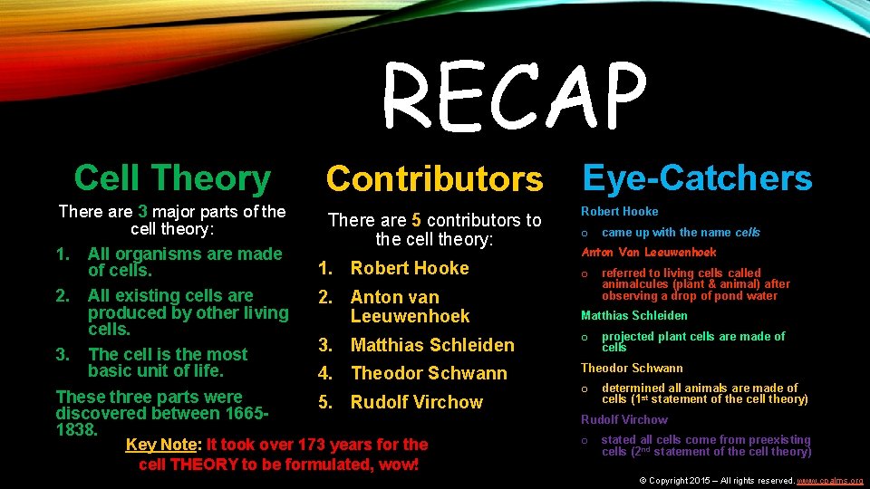 RECAP Cell Theory Contributors Eye-Catchers There are 3 major parts of the cell theory: