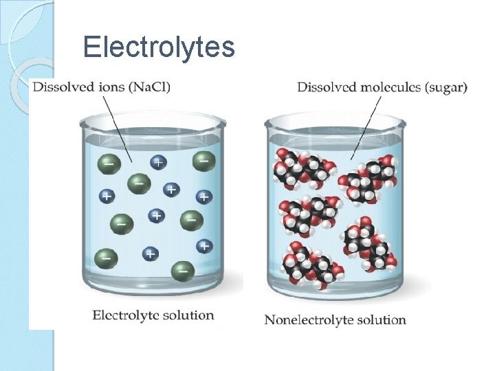 Electrolytes 