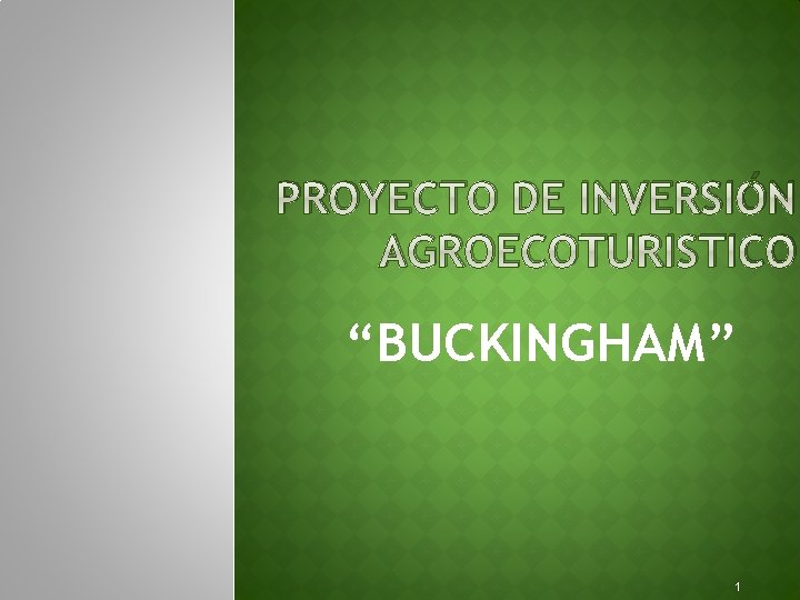PROYECTO DE INVERSIÓN AGROECOTURISTICO “BUCKINGHAM” 1 