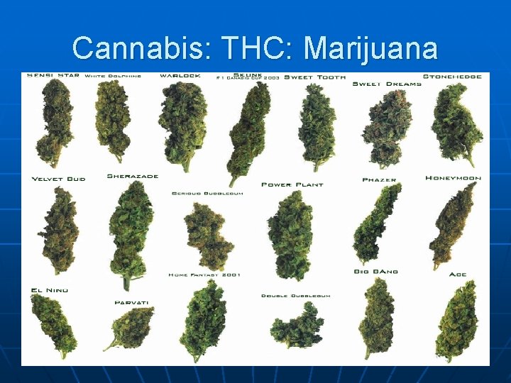 Cannabis: THC: Marijuana 