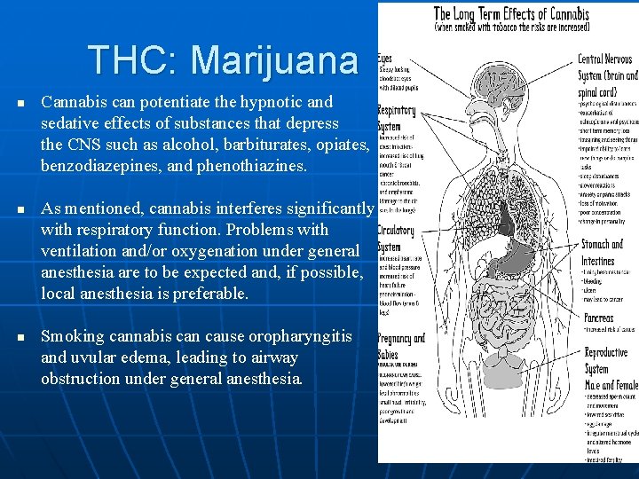 THC: Marijuana n n n Cannabis can potentiate the hypnotic and sedative effects of