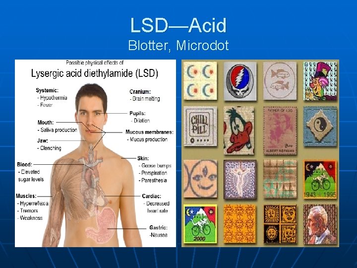 LSD—Acid Blotter, Microdot 