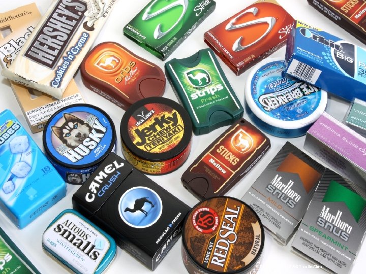 THE PROBLEM Photo source: FACT collection THE PROBLEM Photo source: FACT collection