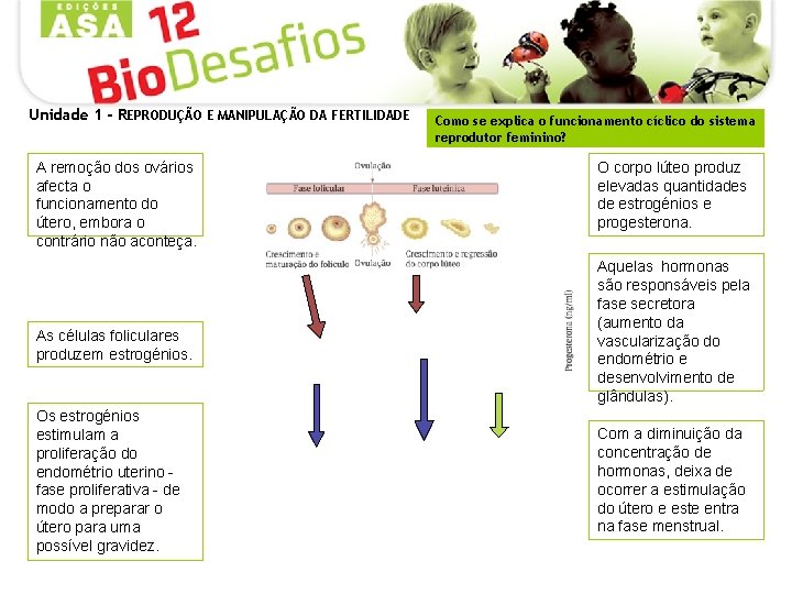 Unidade 1 - REPRODUÇÃO E MANIPULAÇÃO DA FERTILIDADE A remoção dos ovários afecta o