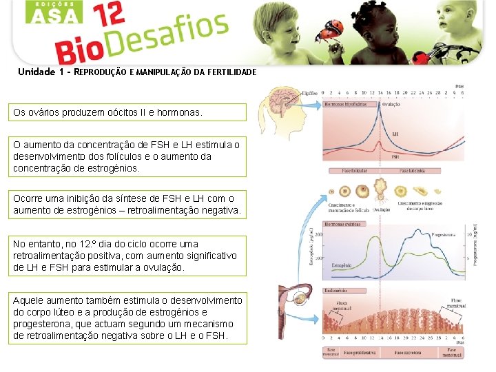 Unidade 1 - REPRODUÇÃO E MANIPULAÇÃO DA FERTILIDADE Os ovários produzem oócitos II e