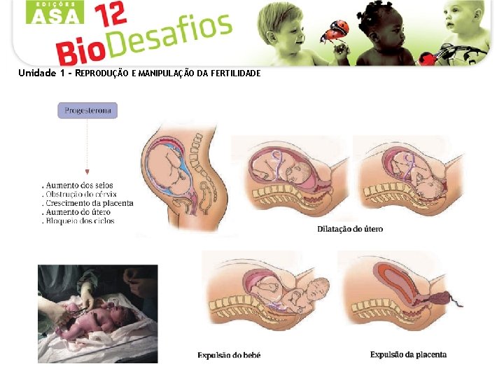 Unidade 1 - REPRODUÇÃO E MANIPULAÇÃO DA FERTILIDADE 