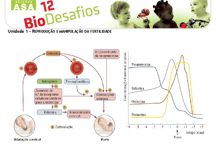 Unidade 1 - REPRODUÇÃO E MANIPULAÇÃO DA FERTILIDADE 