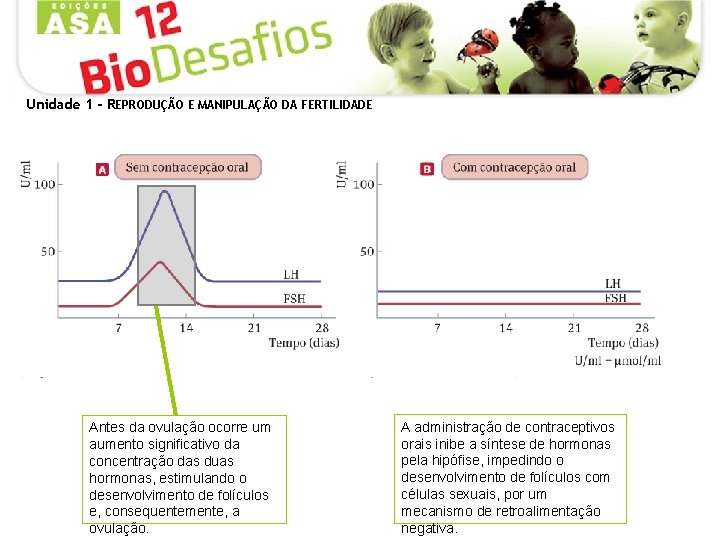 Unidade 1 - REPRODUÇÃO E MANIPULAÇÃO DA FERTILIDADE Antes da ovulação ocorre um aumento