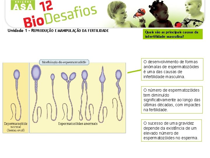 Unidade 1 - REPRODUÇÃO E MANIPULAÇÃO DA FERTILIDADE Quais são as principais causas da